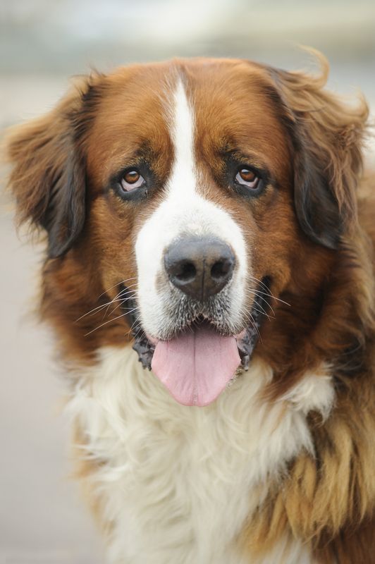 Sympatique rencontre фото превью