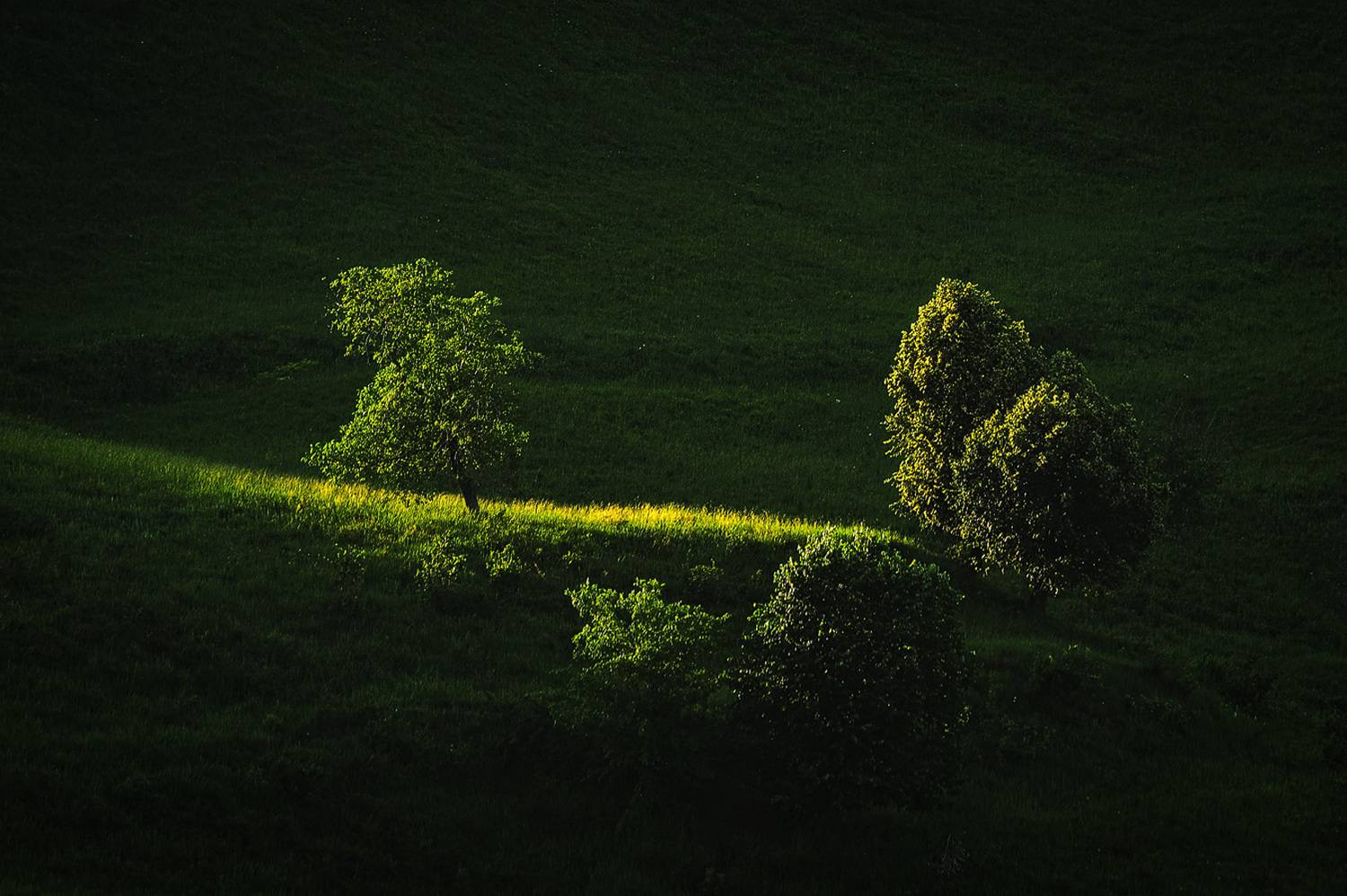 , Stefan Chirobocea