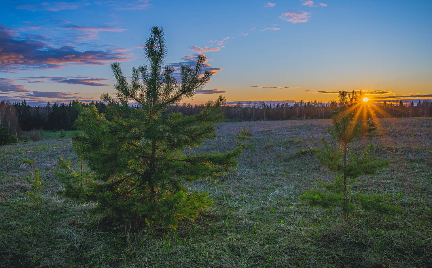 , Кокорин Алексей