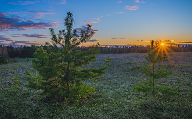 В лучах майского заката фото превью