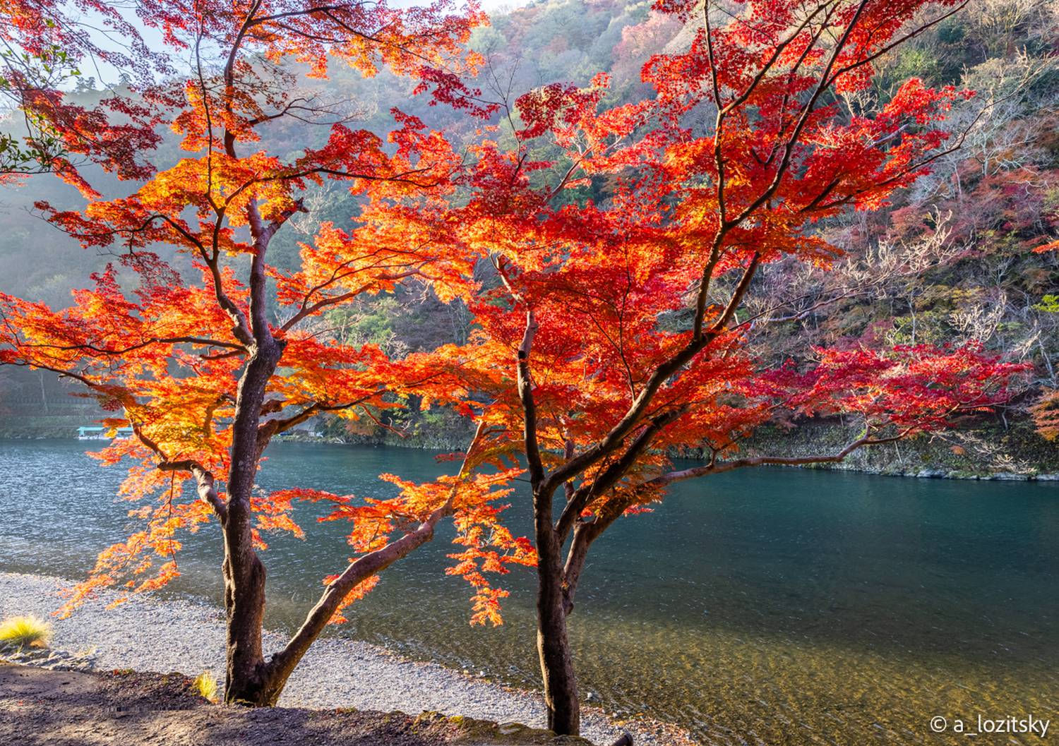 , Лозицкий Александр