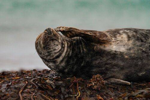 Опять этот понедельник...