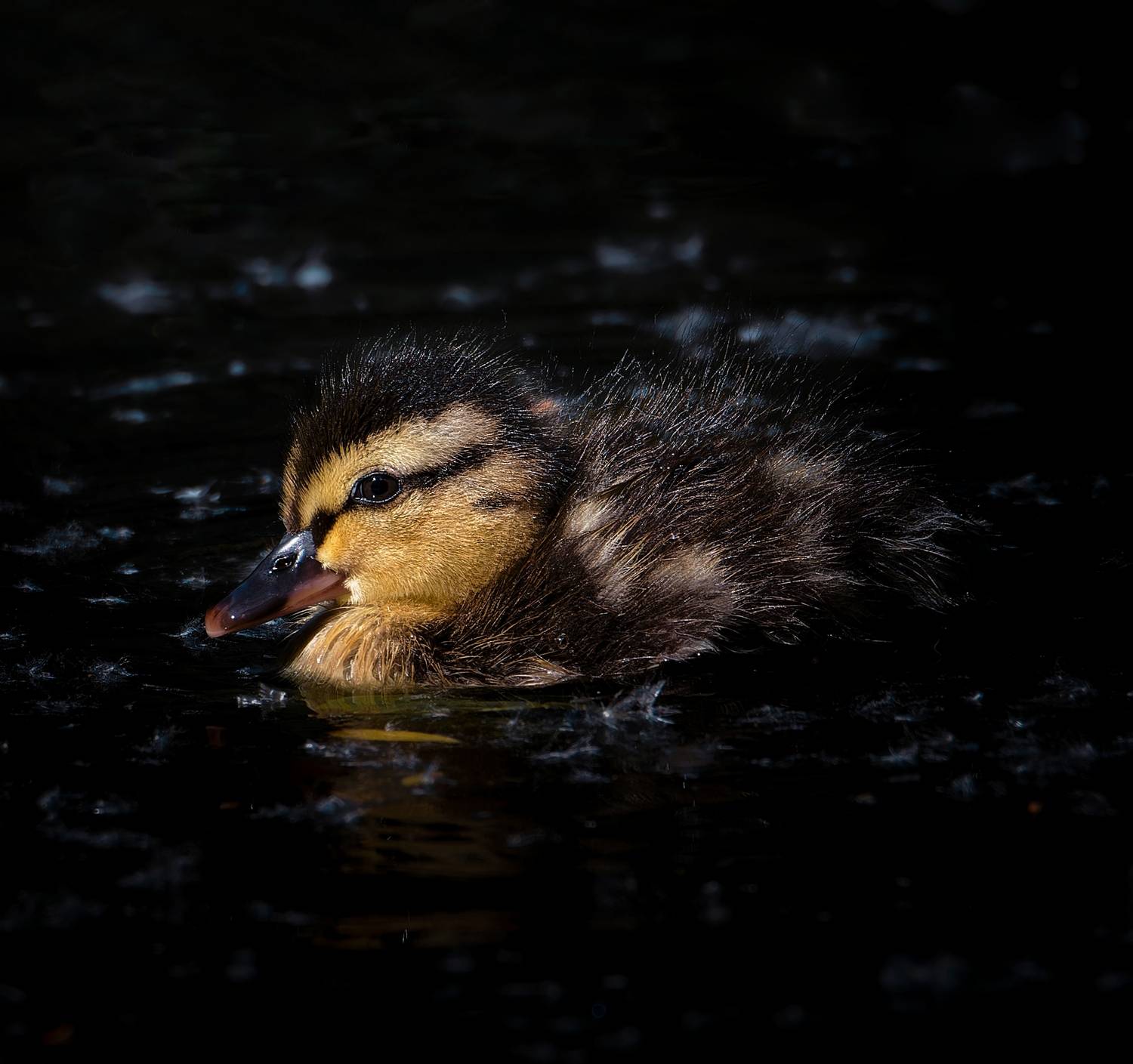 , Фото Александр