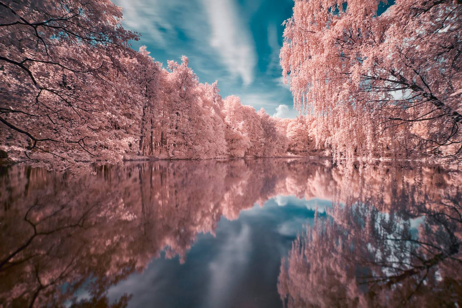 парк, деревья, отражения, Валерий Вождаев