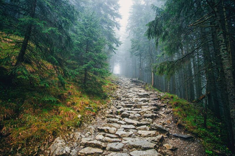 Tatry фото превью