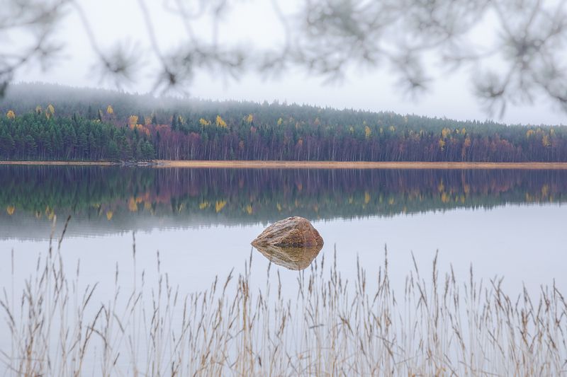 карелия, лоухи, чупа, белое море, чупинская губа, русский север, северный пейзаж, карельский пейзаж, природа карелии, туман, тайга, осень Предзимние туманы фото превью