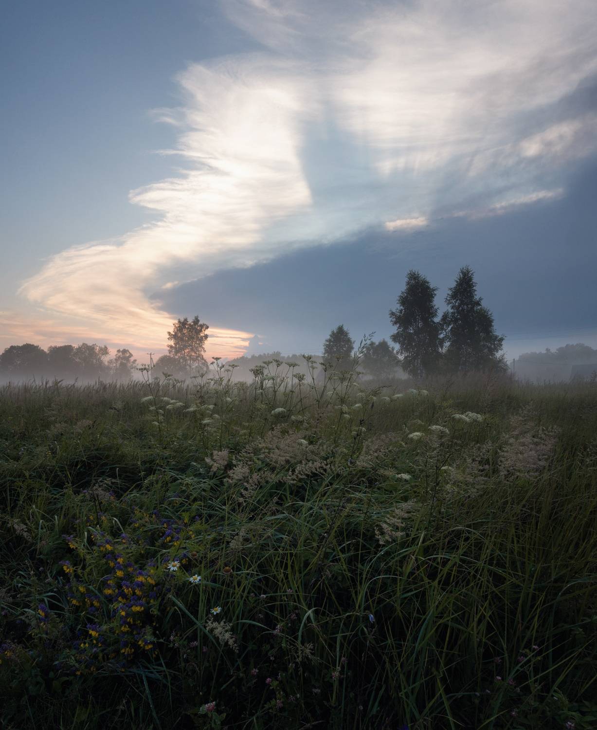 лес, свет, вечер, природа,, Баранов Олег