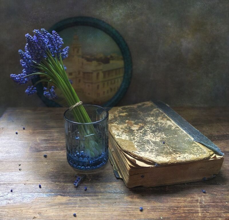 мускари, книга, поднос, цветы С мускарями фото превью