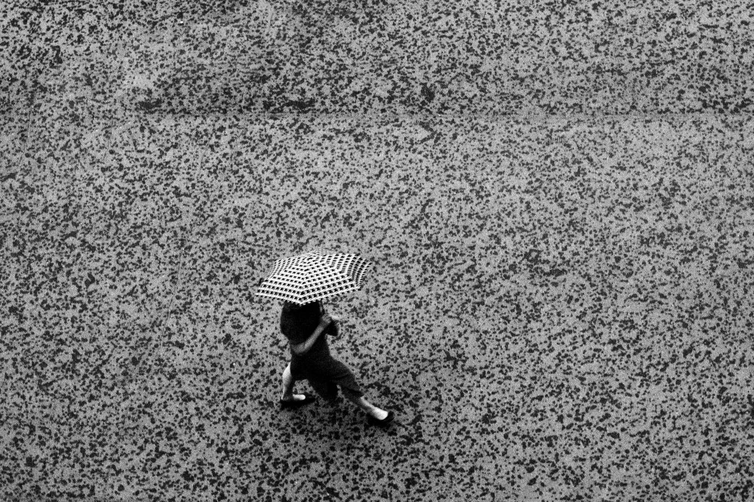 чб, дождь, под зонтом, ливень, черно белое, Мартыненко Дмитрий