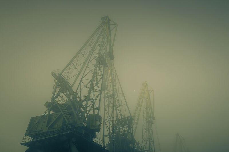 2024-12-20 фото превью