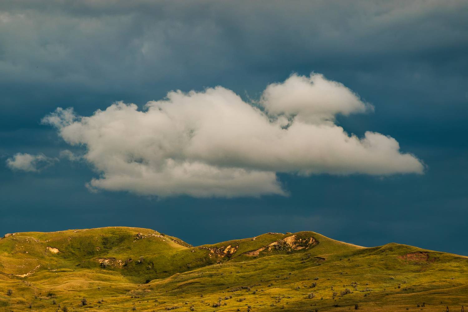 , Какоткин Роман