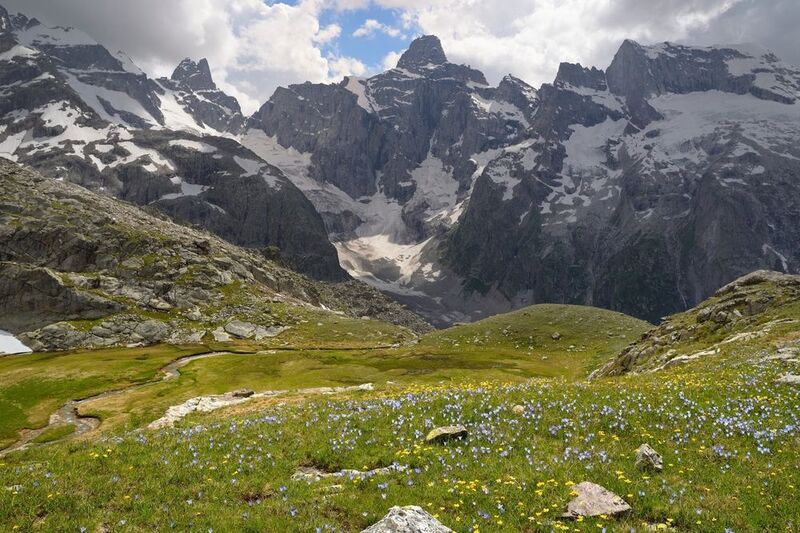 Поляна крокусов,Узункол фото превью