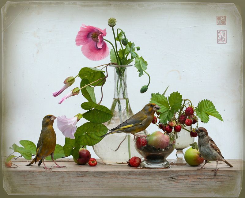 Натюрморт с маком фото превью