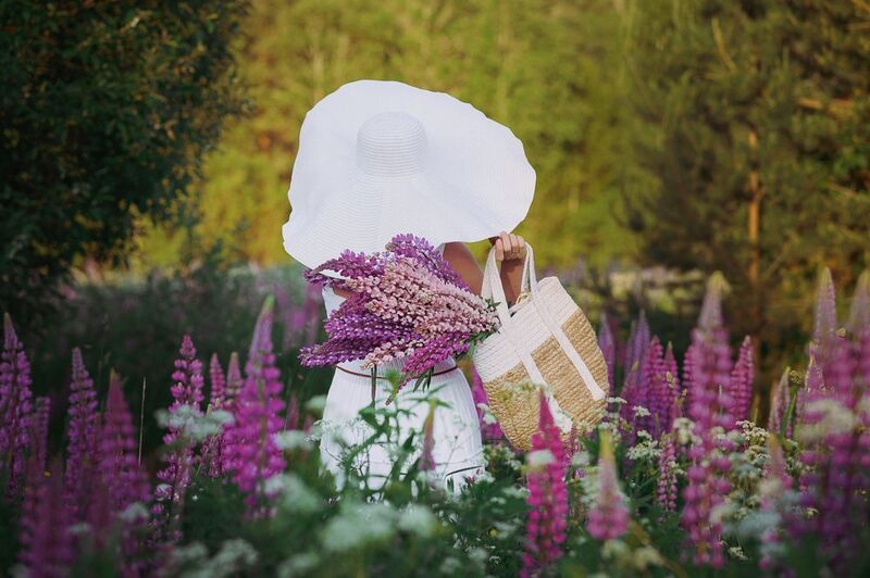 фото превью