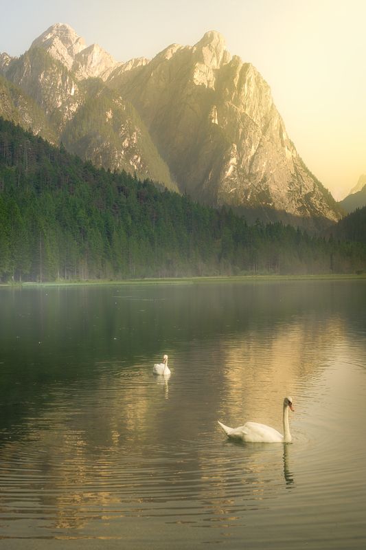 #lagodidobbiaco  @lagodidobbiaco  фото превью