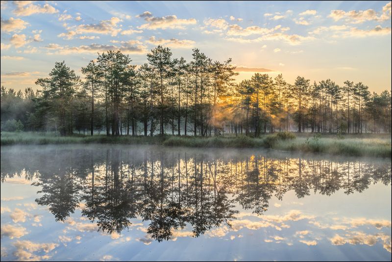 Июньский восход на торфяниках (продолжение) фото превью