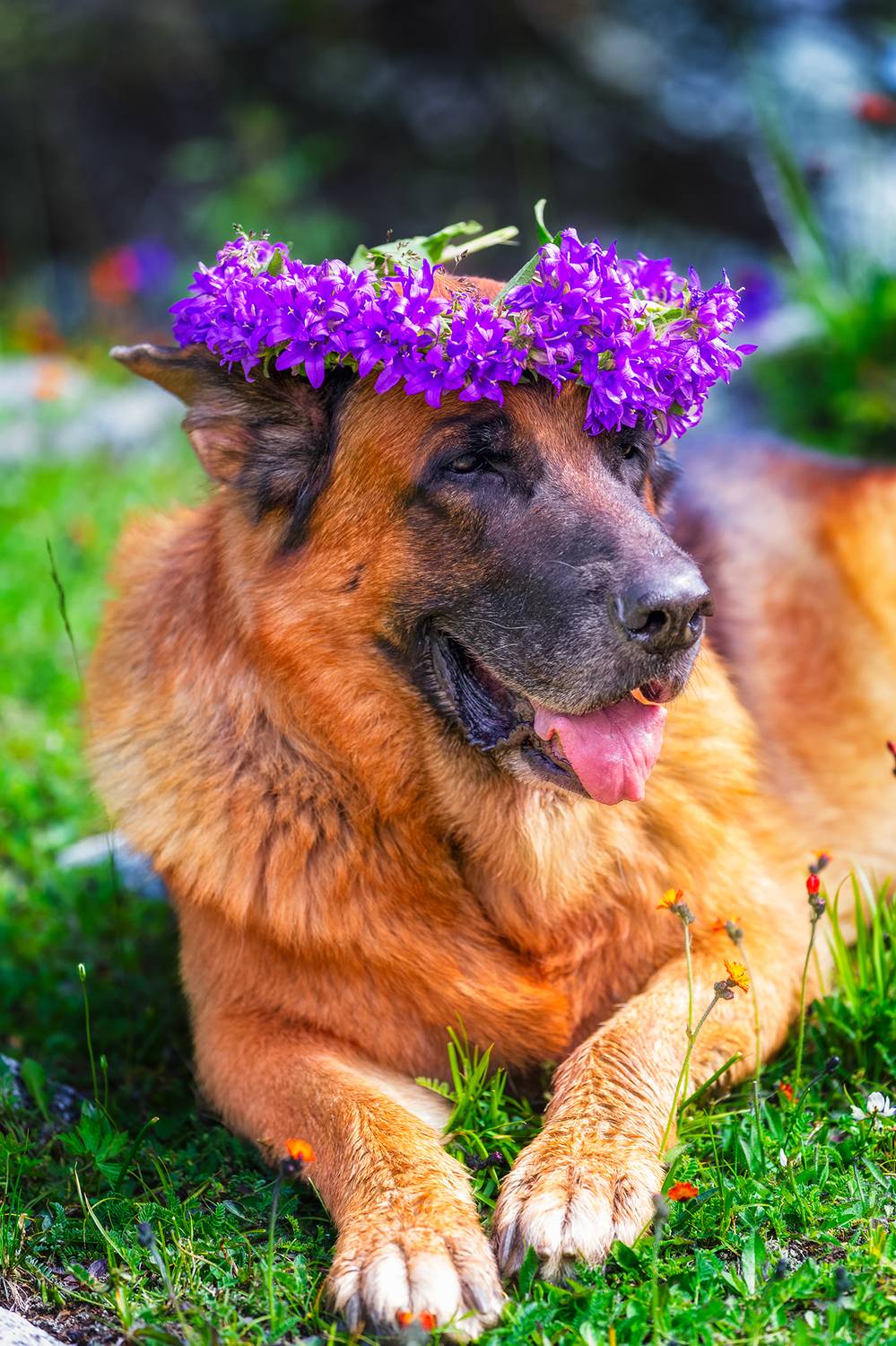 кыргызстан, Элина Магалимова