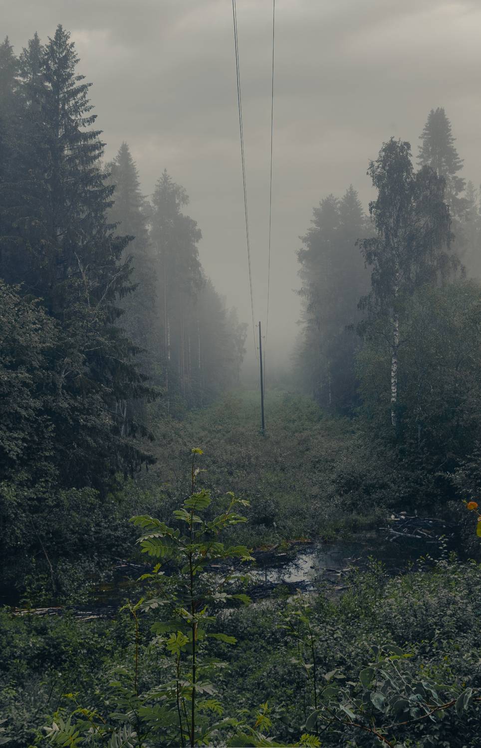 , Кокорин Алексей