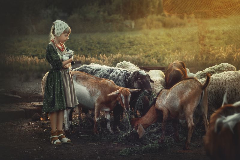 фото превью