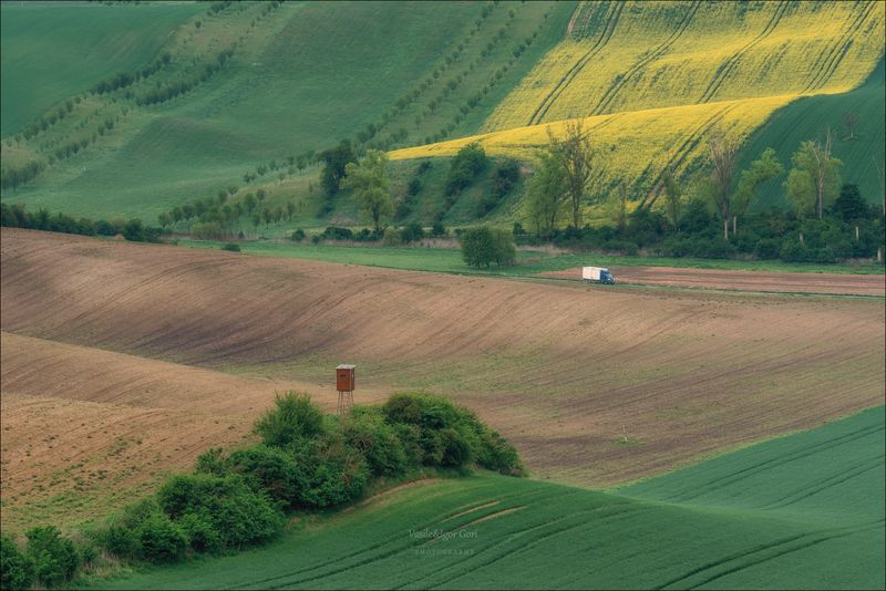 южная моравия,пейзаж,линии,south moravian,lines,свет,czech,весна,чехия,landscapes,green,волнистое поле Green hills фото превью