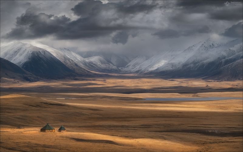 горный алтай, фототур на алтай, осенний фототур на алтай, плато укок, джазатор, беляши, аргут, степь самаха, фототуры по россии Игра на контрасте фото превью