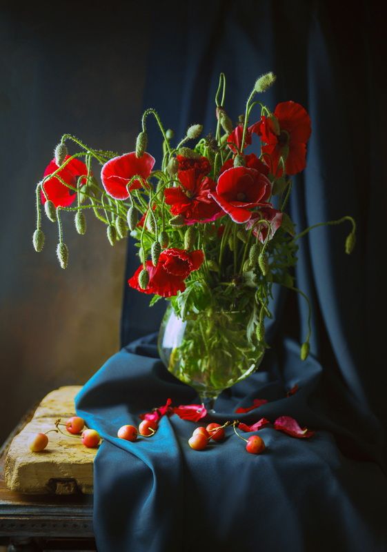 Маки на синем фото превью