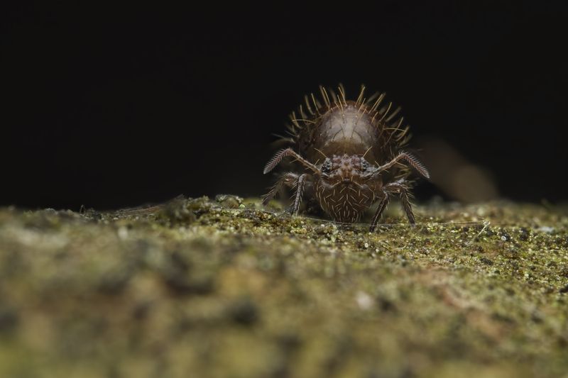 Lonely... фото превью