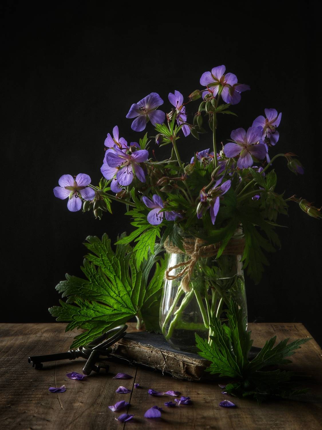 , Angelica Medvedeva