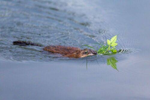 На свидание