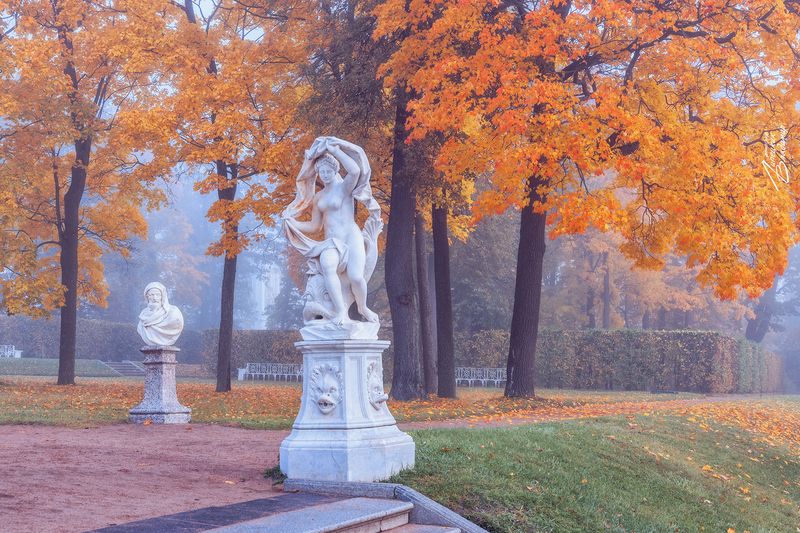 санкт-петербург, екатерининский парк, осень, утро, туман По осенним паркам Санкт-Петербурга. фото превью