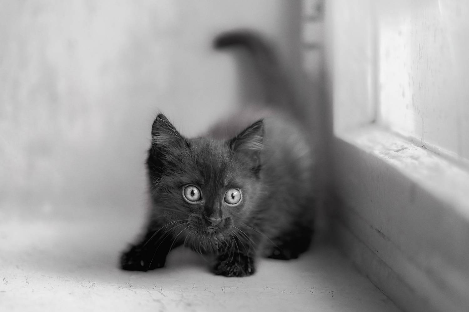 , Холудеев Виктор