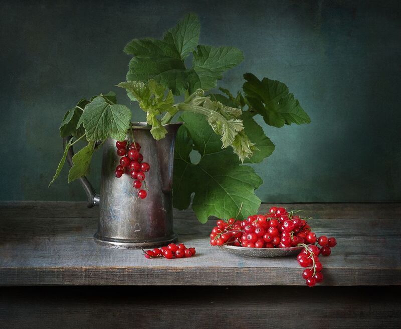 смородина поспела. фото превью