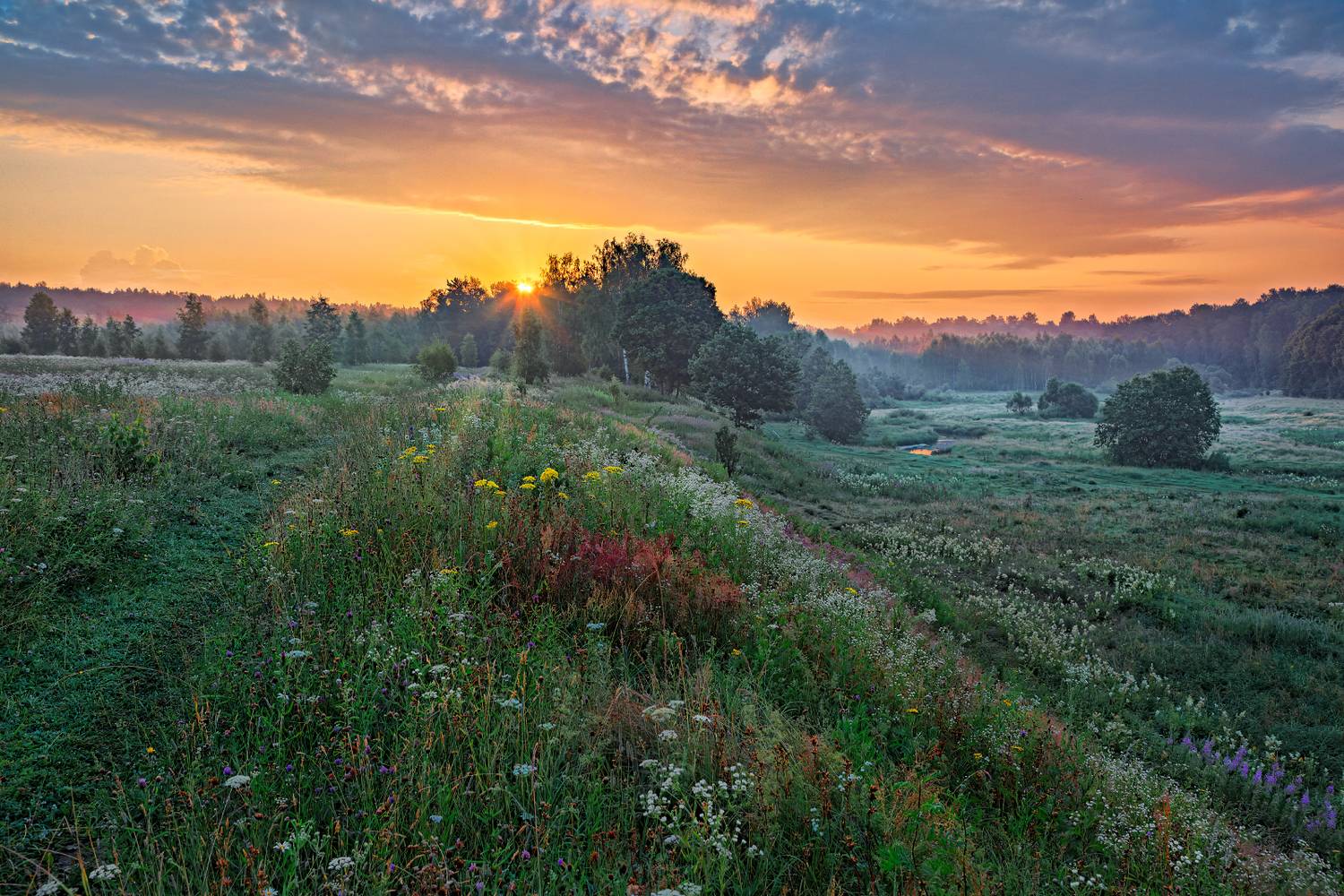, Евгений Ерохин