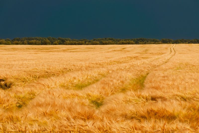 Поле  фото превью