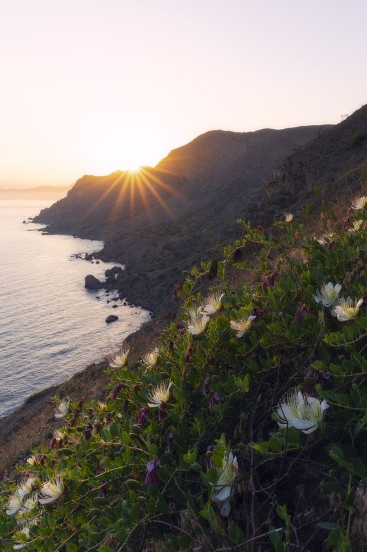Закат на мысе Меганом фото превью
