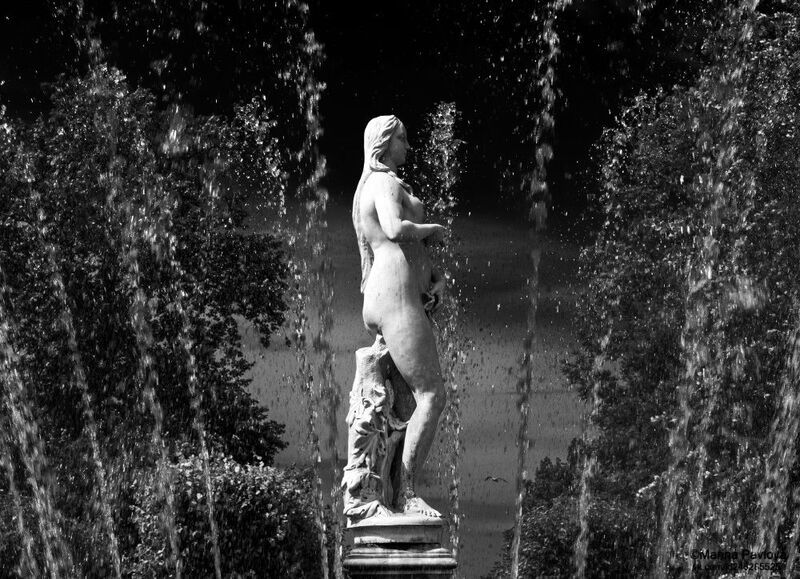 город, архитектура, город петергоф, монохромный петергоф, музей - заповедник \\\\\\\