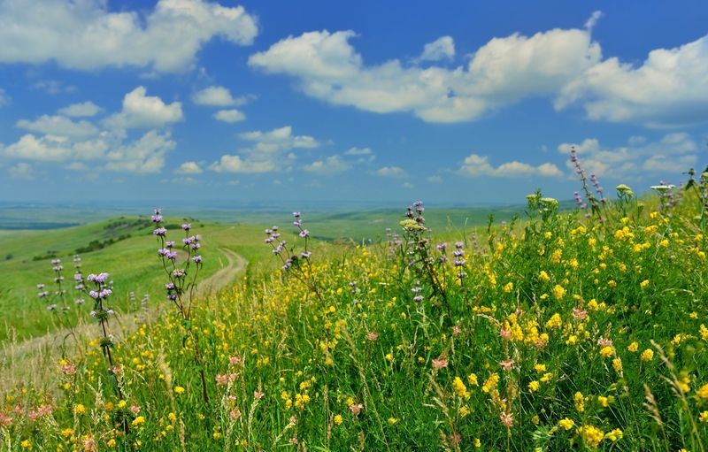 Степь,лето фото превью