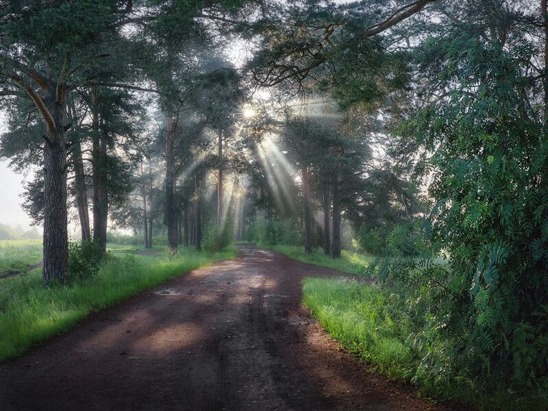 Прогулка по заречному парку фото превью