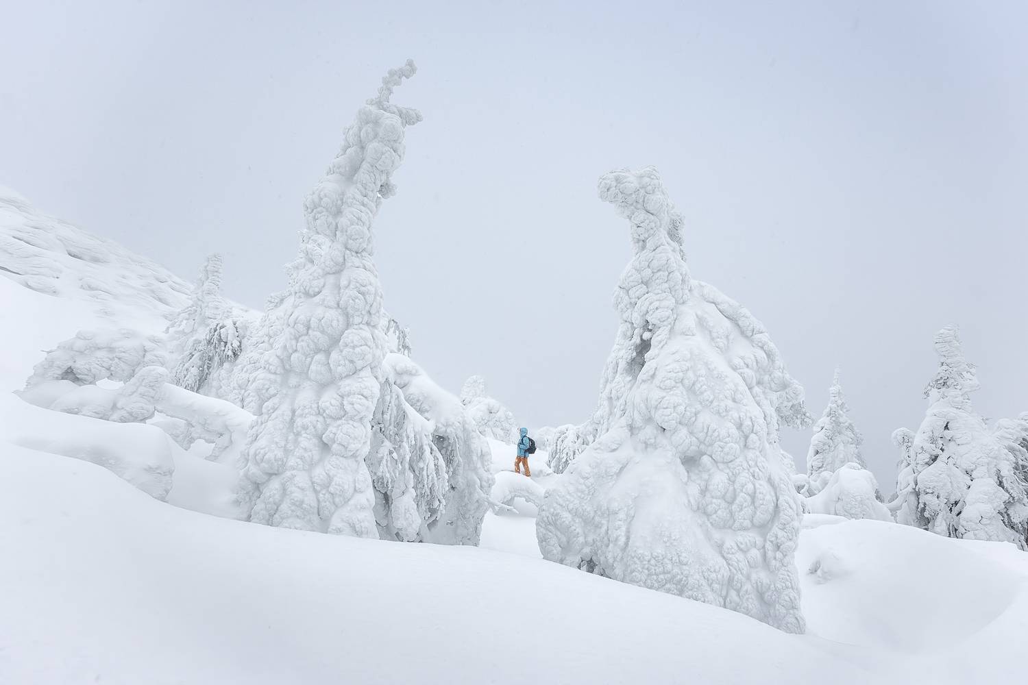 , Константин Маланин