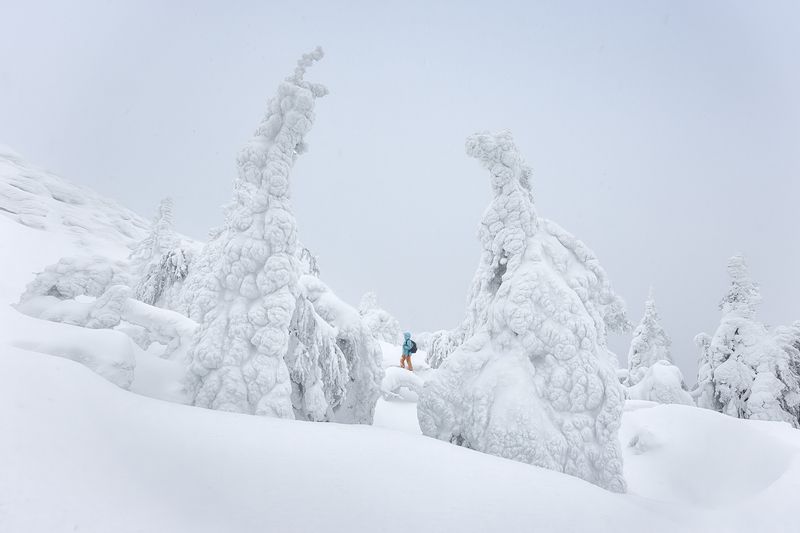 Искатель фото превью