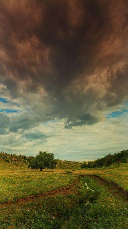 Нечто фото превью