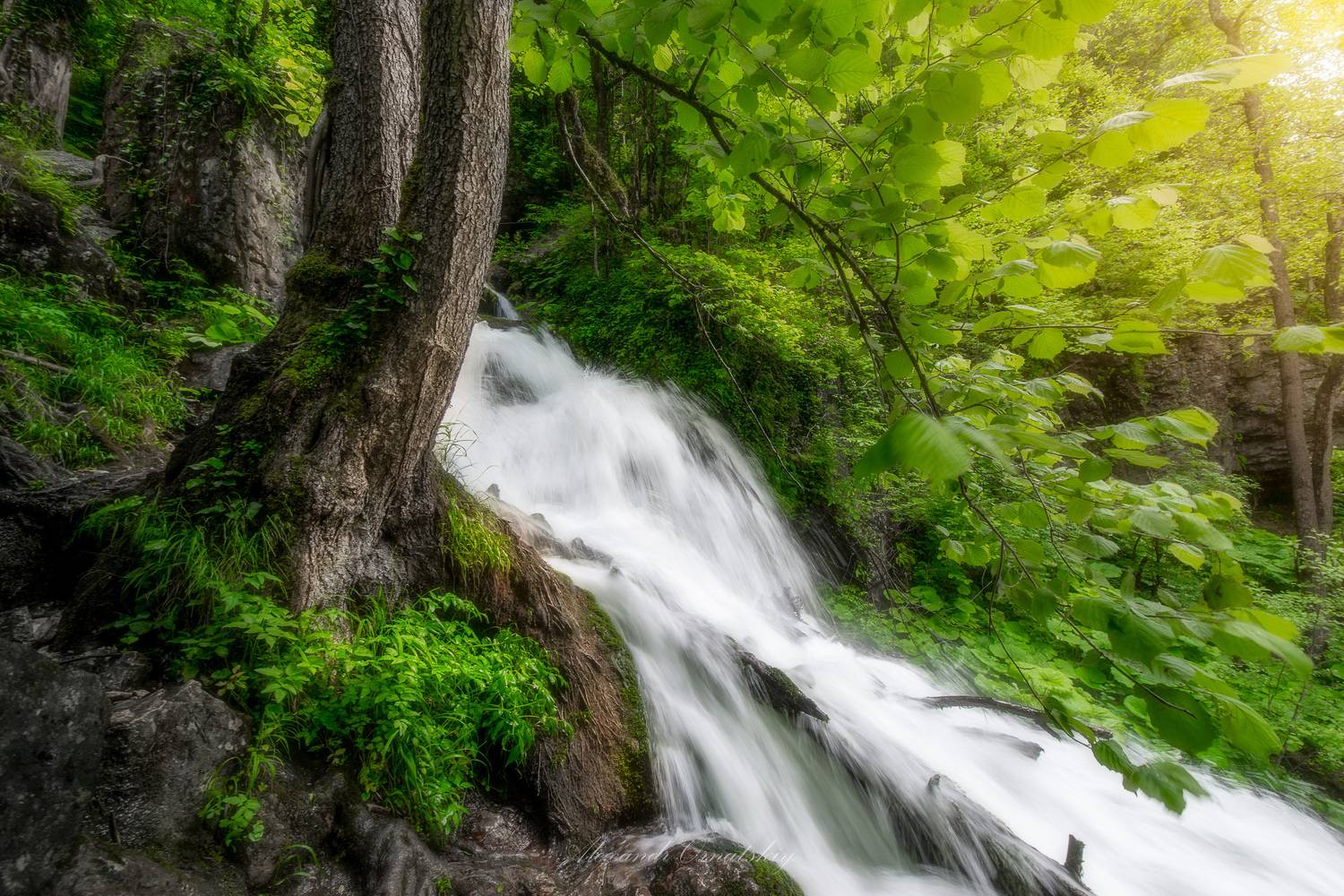 , Alexander Ornatskiy