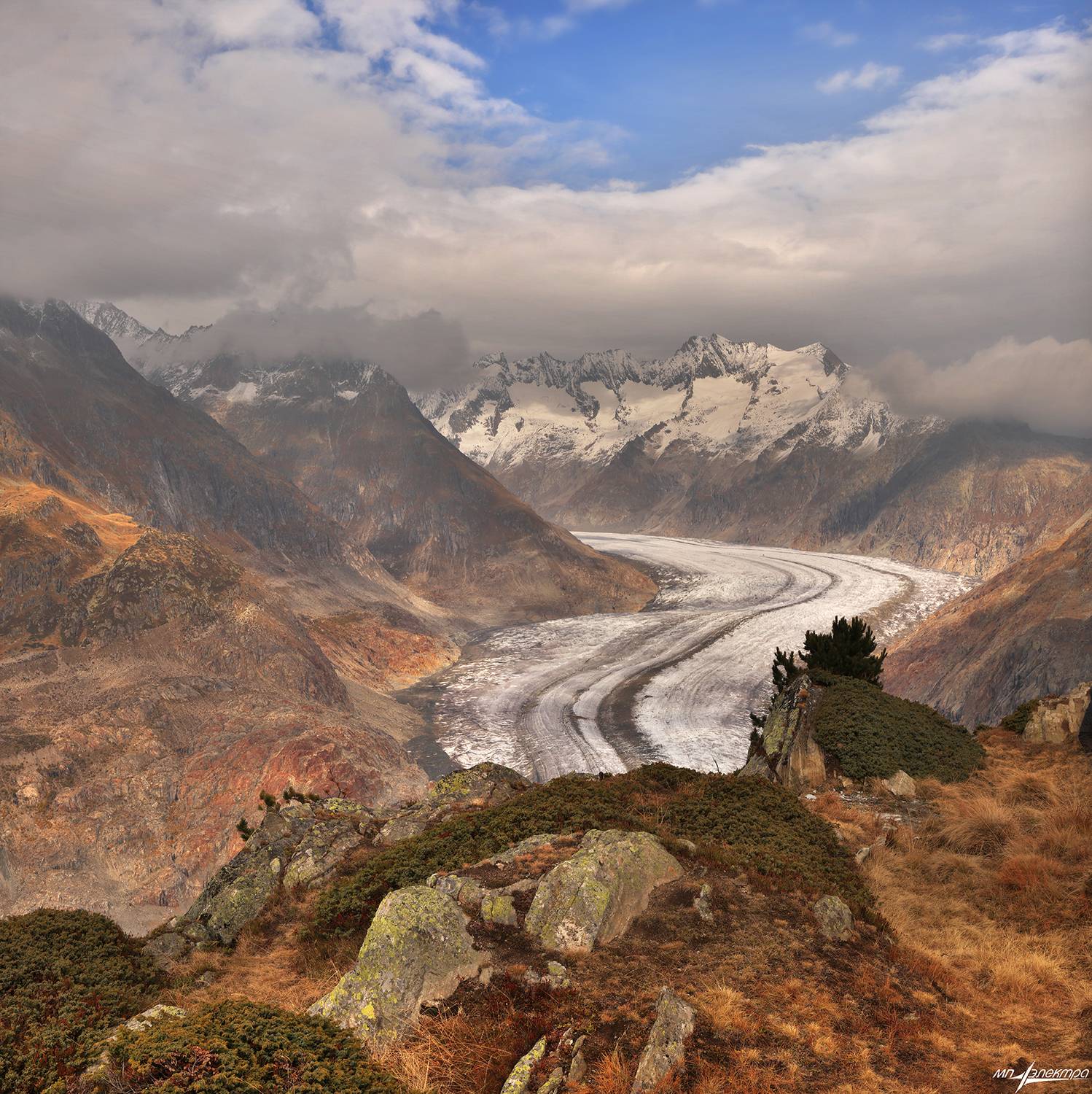 swiss, Матвеев Николай