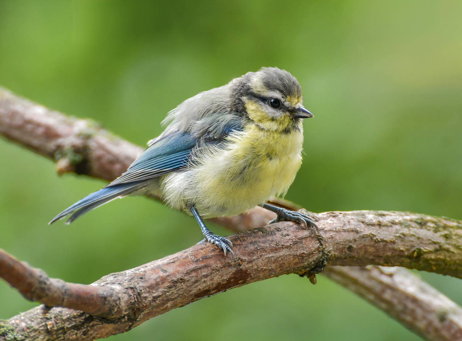 , Наталья Екимова