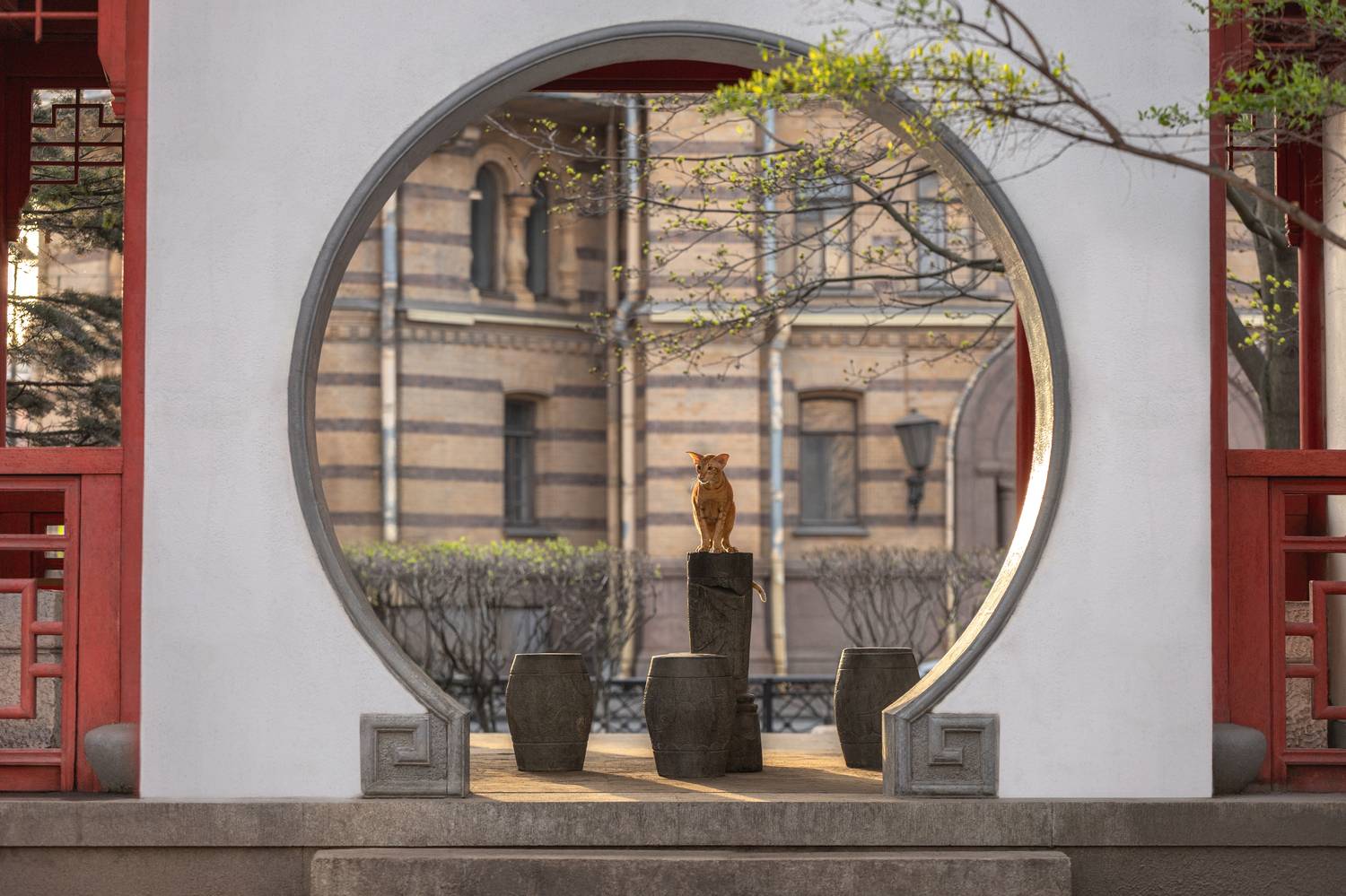 , Зубкова Юлия