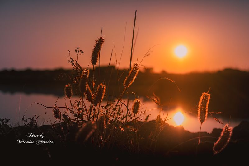 Свет на кончиках трав фото превью