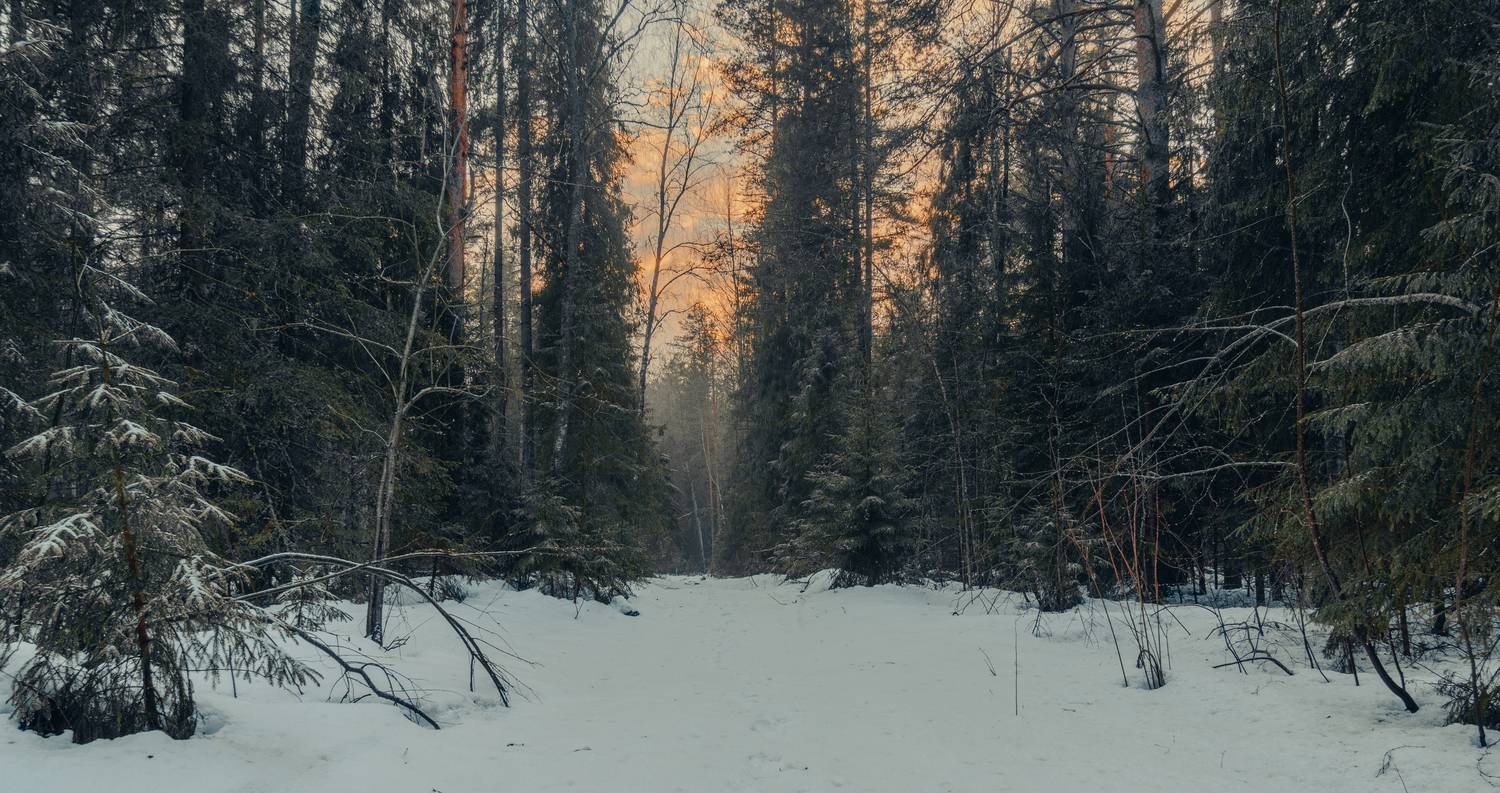 , Кокорин Алексей