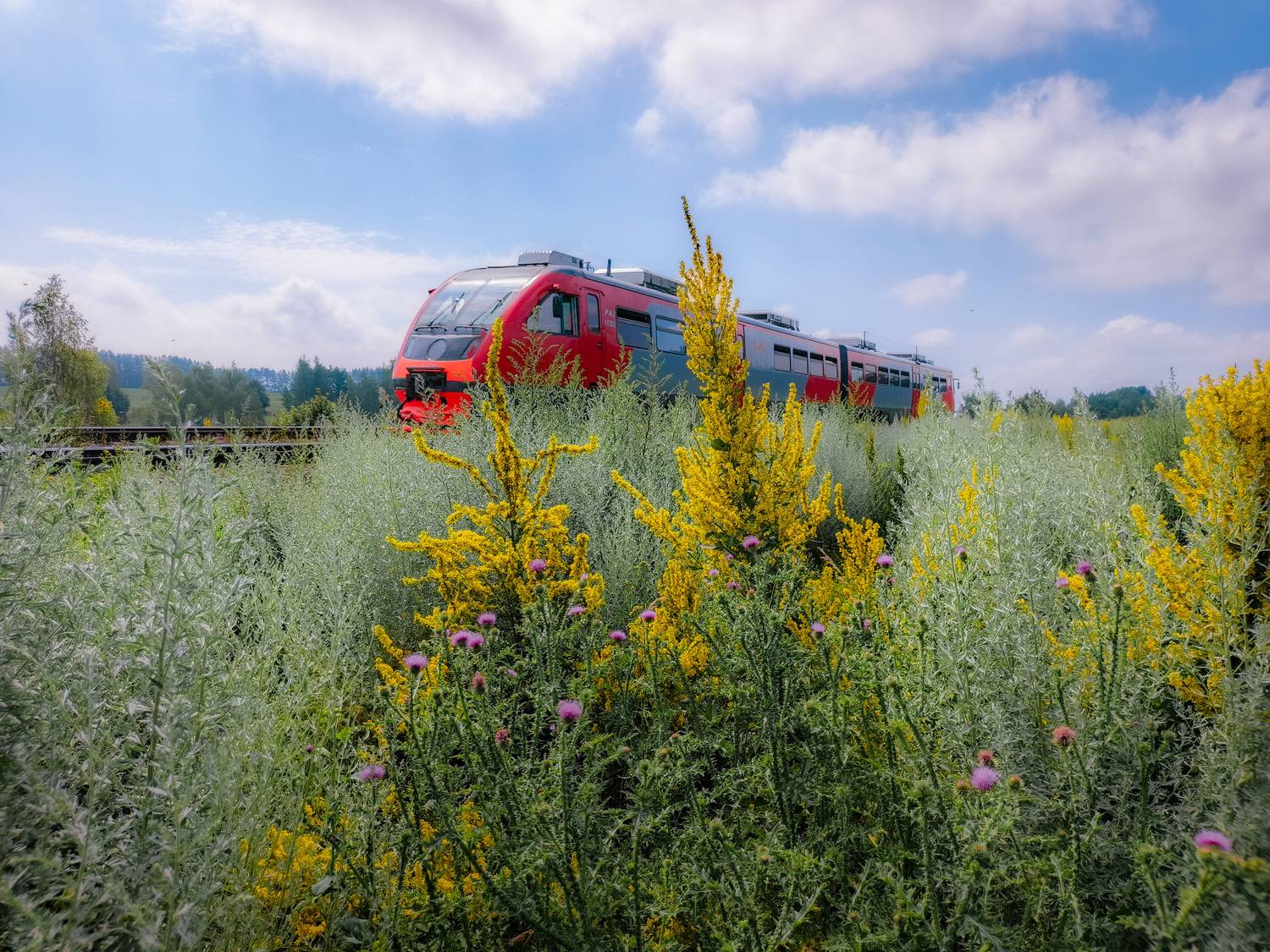 , Кондрашова Светлана