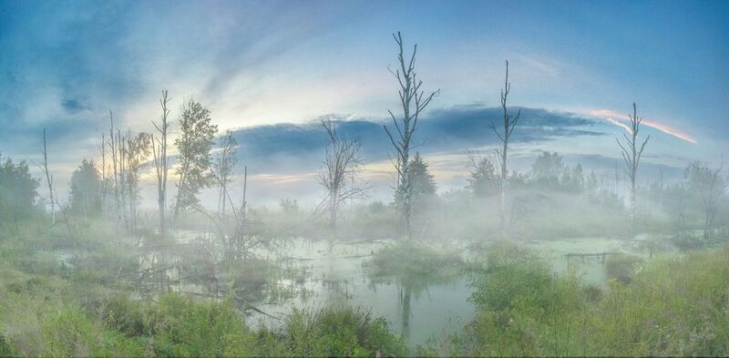 туман в подмосковье Nevfy фото превью