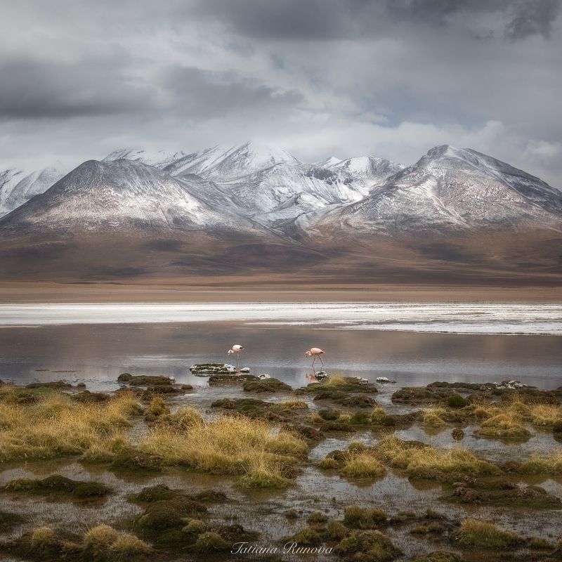 Умиротворение фото превью